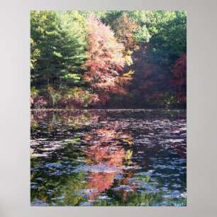 Poster da paisagem do outono