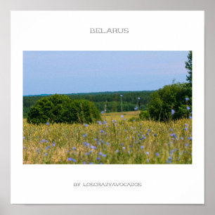 Poster da paisagem rural bielorrussa