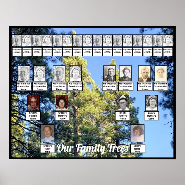 Poster da Pine Tree Forest Foto de Duas Famílias (Frente)