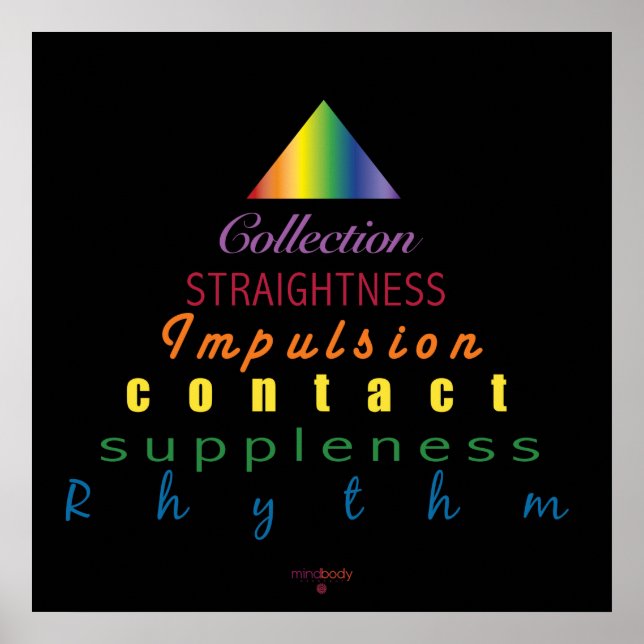 Poster da Pirâmide de Escala de Treinamento de Dre (Frente)