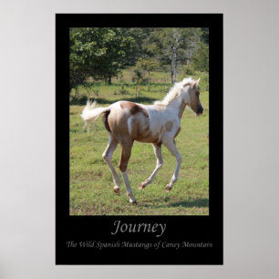 Pôster Da "poster do dançarino lua" - viagem