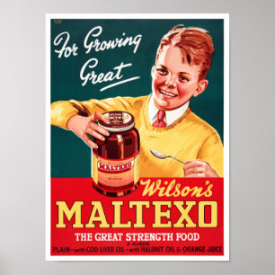 Poster da propaganda do vintage de Nova Zelândia