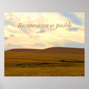 Poster da recuperação/Recuperacion es posible