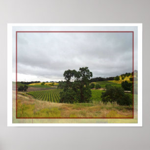 Poster da região vinícola de Paso Robles