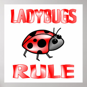 POSTER DA REGRA DE LADYBUGS