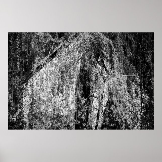 poster da residência de longa duração (Frente)