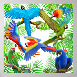 Poster da selva de macaw