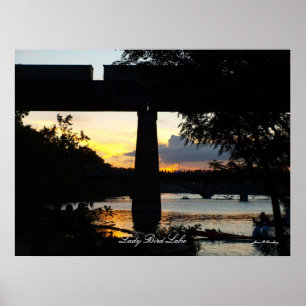 Poster da senhora Pássaro Lago