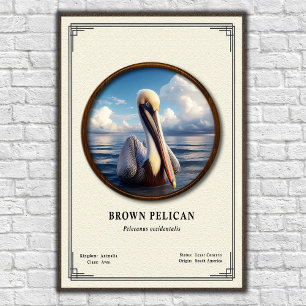 Pôster da Série de Zoologia do Pelicano Marrom