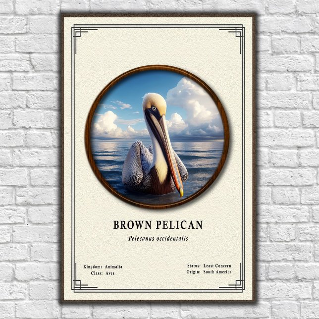 Pôster da Série de Zoologia do Pelicano Marrom (Criador carregado)