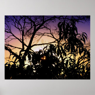 Poster da silhueta da natureza