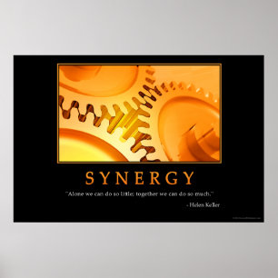 Poster da sinergia
