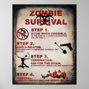 POSTER DA SOBREVIVÊNCIA DO ZOMBI