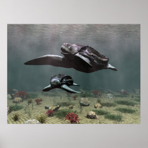 Poster da tartaruga de Leatherback