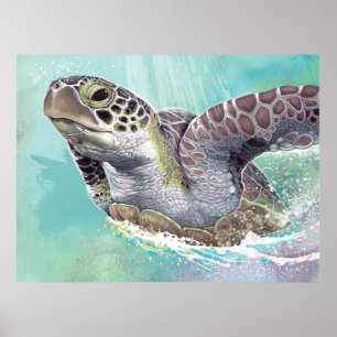 Poster da tartaruga de mar verde