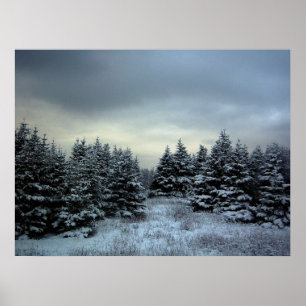 Poster da tempestade do inverno
