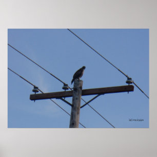 Poster da vara de pólo de telefone