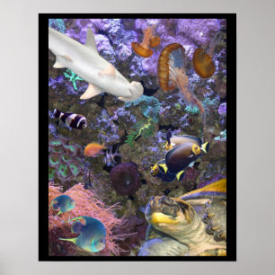 Poster da vida marinha