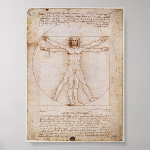 Pôster Da Vinci: Homem de Vitruvian