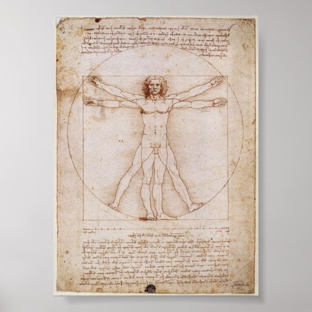 Pôster Da Vinci: Homem Vitruviano (Frente)