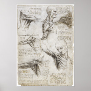 Pôster Da Vinci, Leonardo - estudo da anatomia