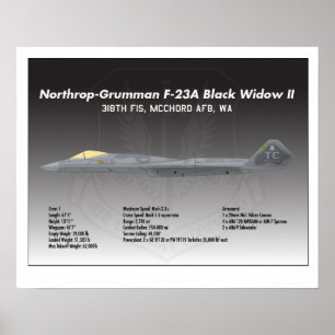 poster da viúva negra II de 20x16 Northrop F-23A