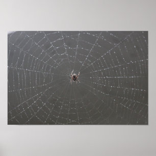 Poster da Web Spider