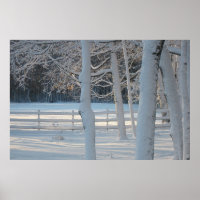 Poster da Wonderland de inverno
