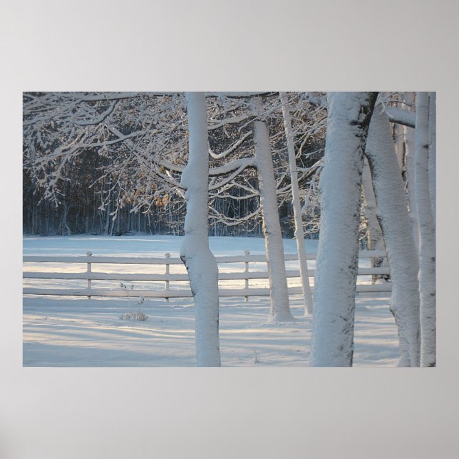 Poster da Wonderland de inverno (Frente)