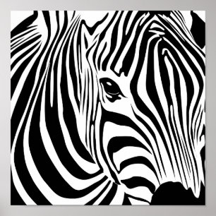 Poster da zebra