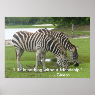 Poster da Zebra Friendship