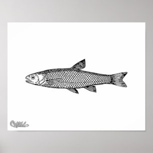 Pôster Dace