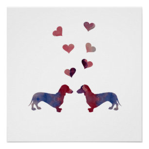 Pôster Dachshances