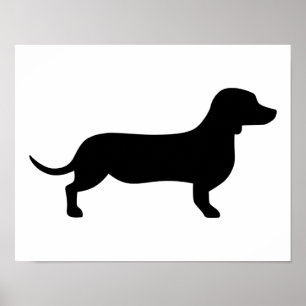 Pôster Dachshund
