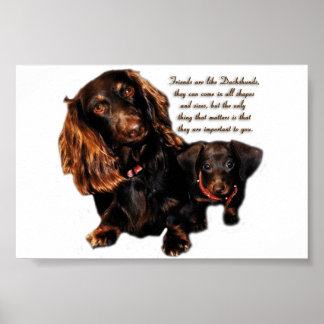 Poster Dachshund