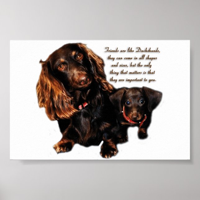 Poster Dachshund (Frente)