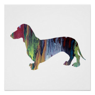 Pôster dachshund