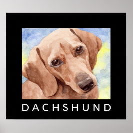 Pôster Dachshund