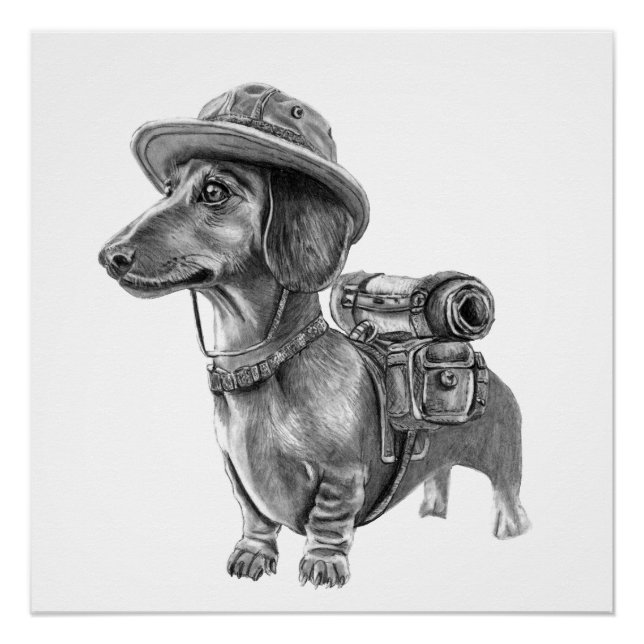 Pôster Dachshund aventureiro (Frente)