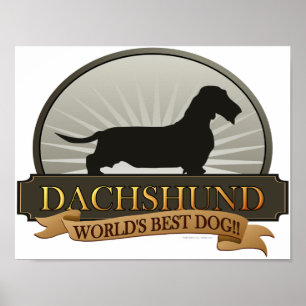 Poster Dachshund [Cabelo-Fio]