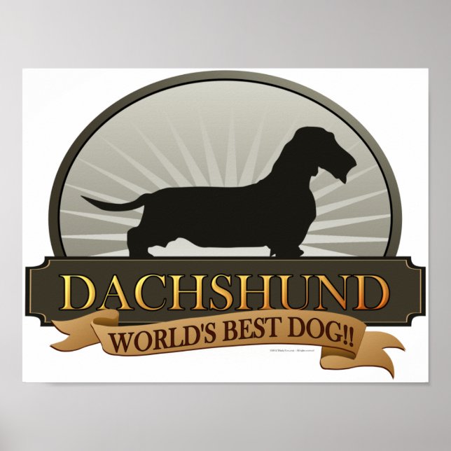 Poster Dachshund [Cabelo-Fio] (Frente)