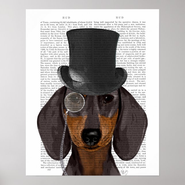 Poster Dachshund, Chapéu Formal e Chapéu (Frente)