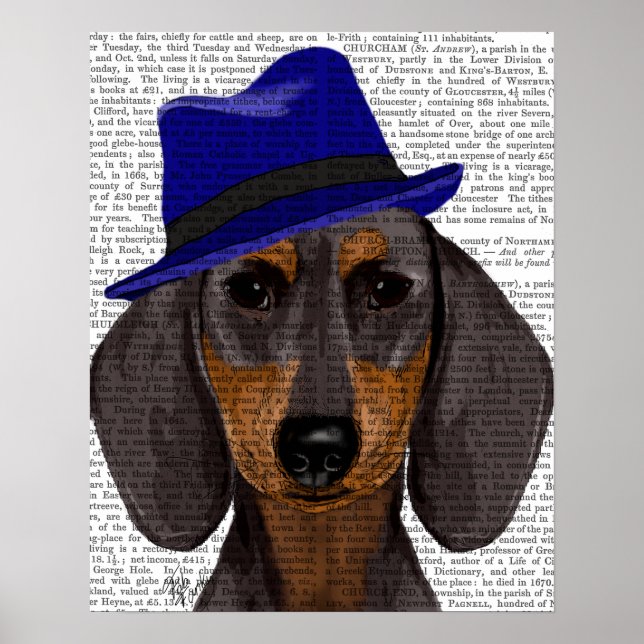 Pôster Dachshund com Blue Trilby (Frente)