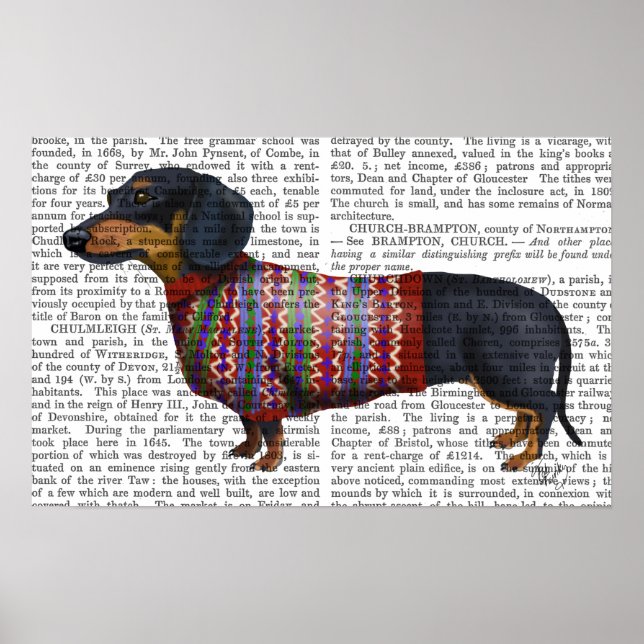 Poster Dachshund Com Sweater Wooly (Frente)