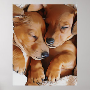 Poster Dachshund Cute Dormindo Dachshund Puppies Aniversá
