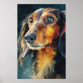 Poster Dachshund de pelo longo closeup