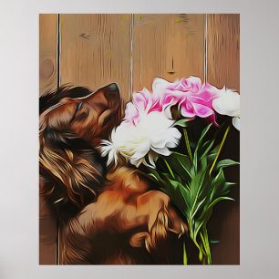 Poster Dachshund Deitado No Chão De Madeira