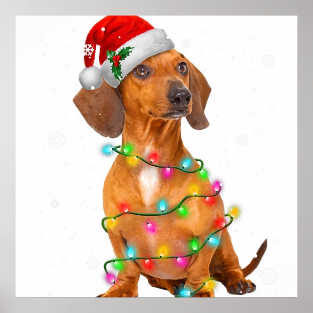 Poster Dachshund Dogs Árvore Natal Sweater Xmas Gifts P (Frente)