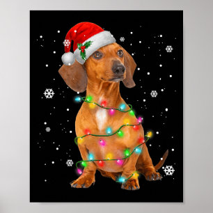 Poster Dachshund Dogs Árvore Natal Xmas Para Pet