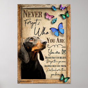 Poster Dachshund Never Forget Who You Are